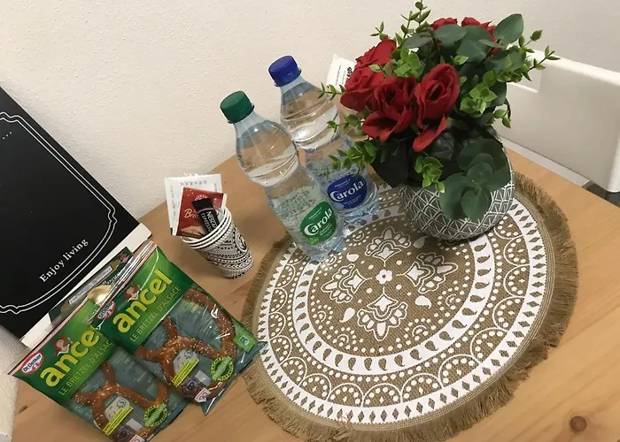 Coquet Proche Centre 公寓 斯特拉斯堡